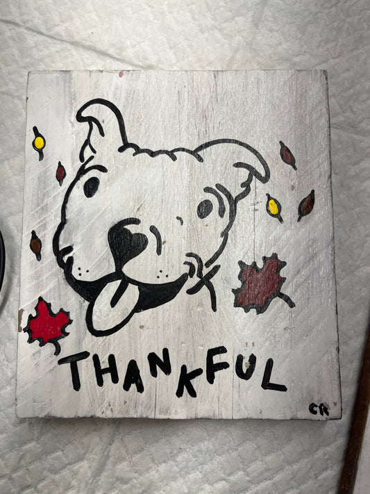 thankful pitbull