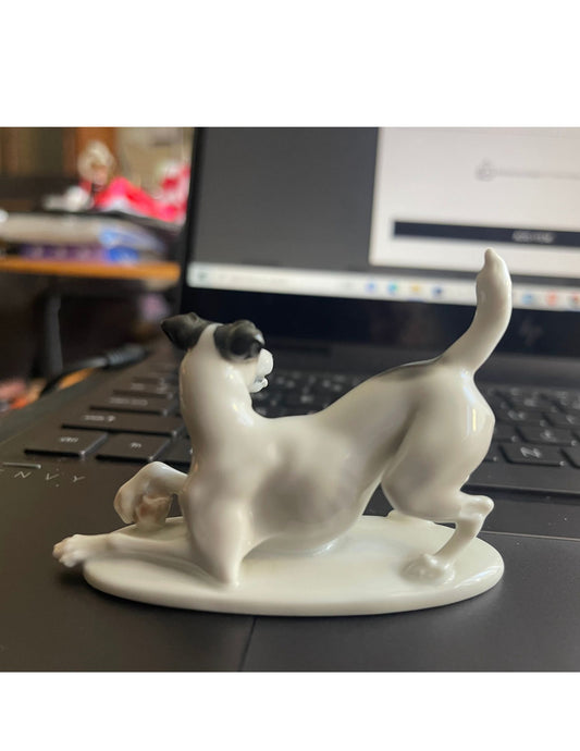 Rosenthal playing smooth fox terrier