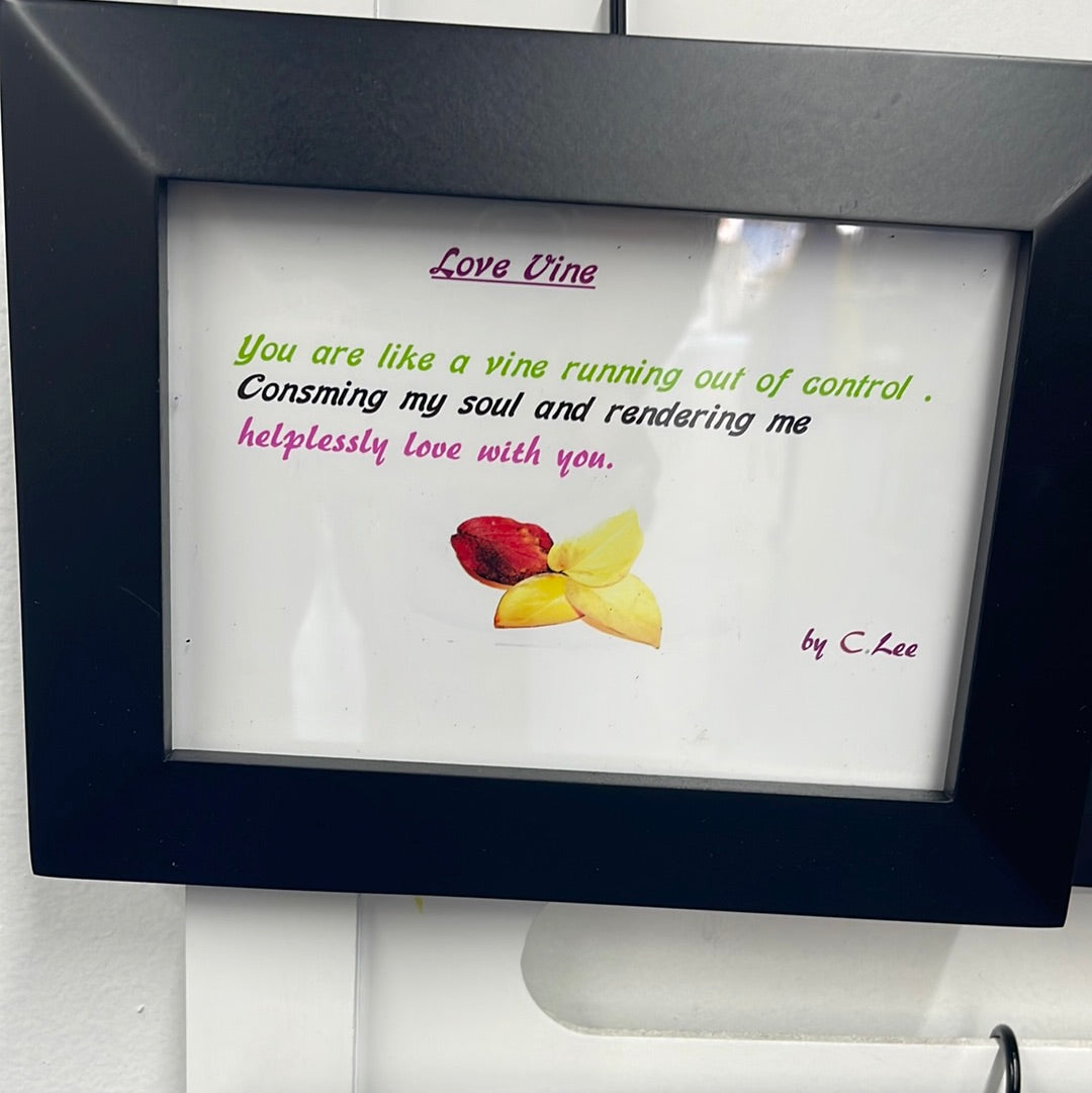 Love Vine