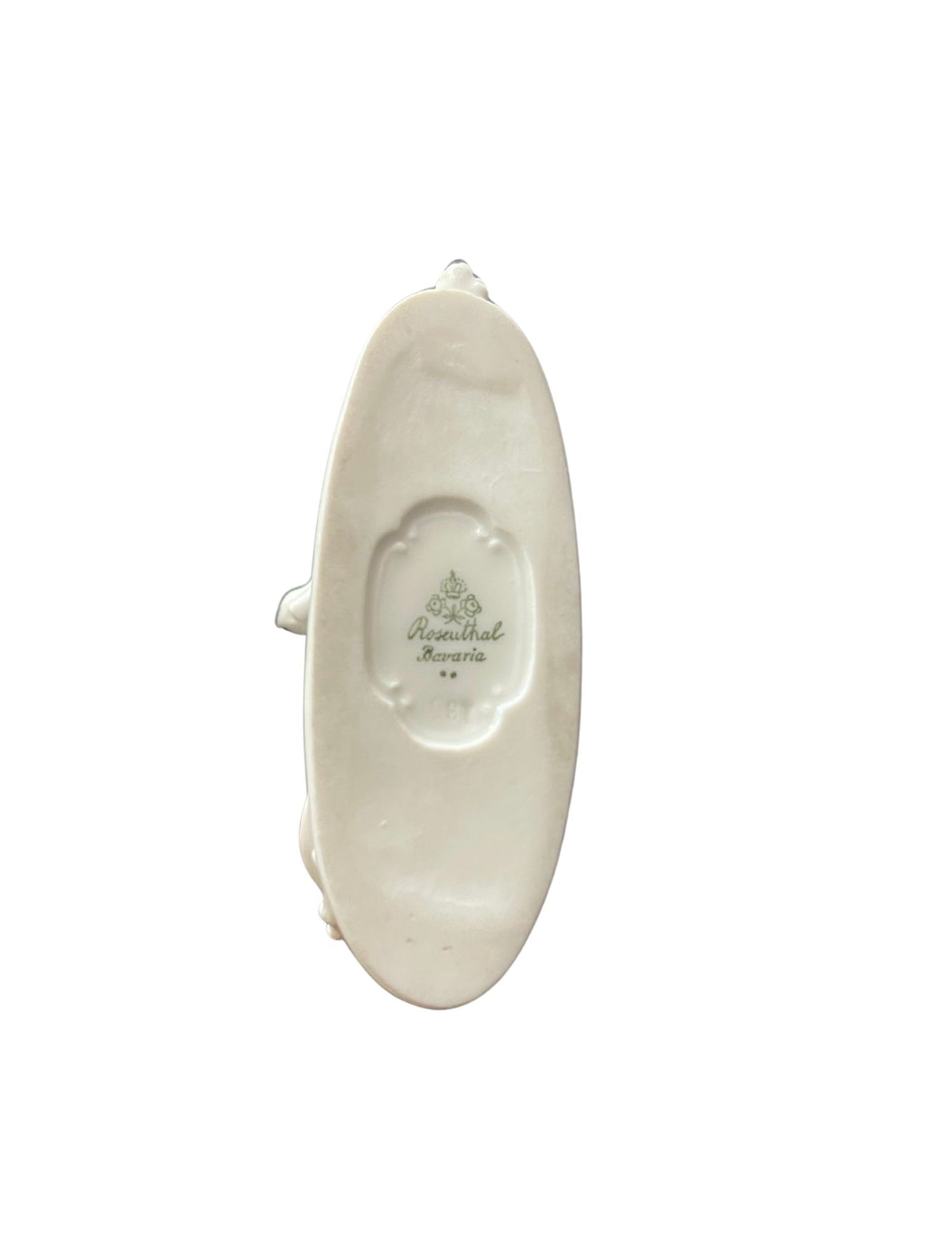 Rosenthal playing smooth fox terrier