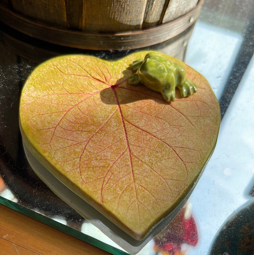 frog on leaf