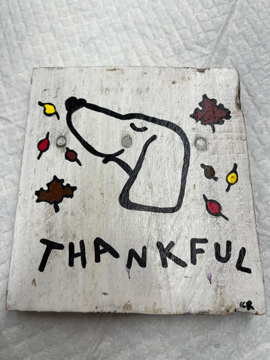 thankful dachshund