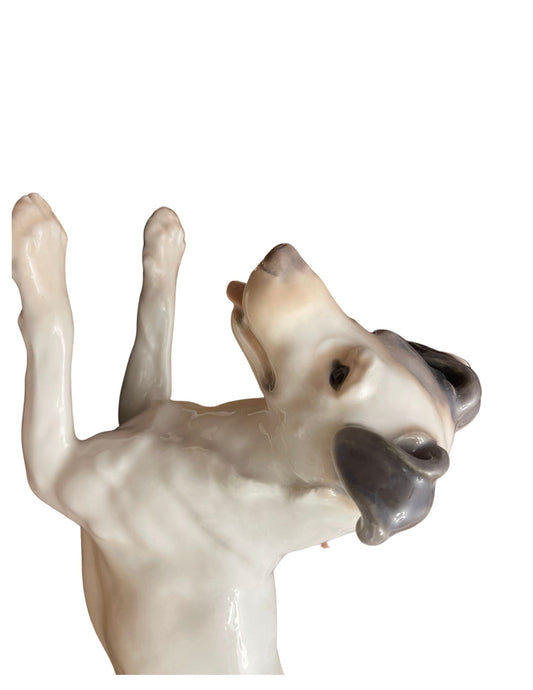 Large Bing & Grondahl / B & G Porcelain Figurine, Smooth Haired Fox Terrier
