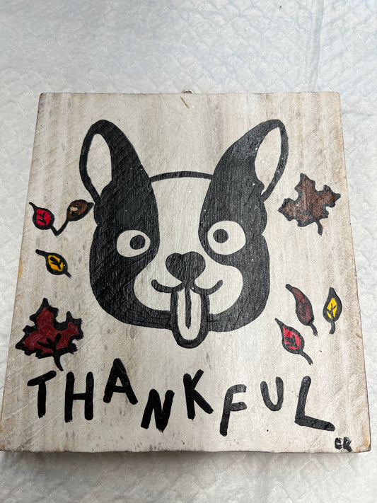 thankful boston