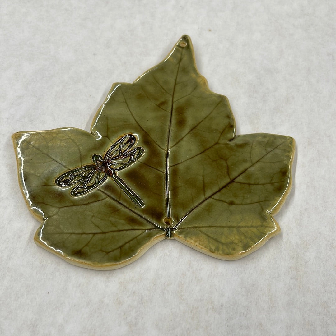 leaf dragonfly